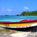 winnifred beach, jamaica - Von Marc Grandmaison - https://stock.adobe.com